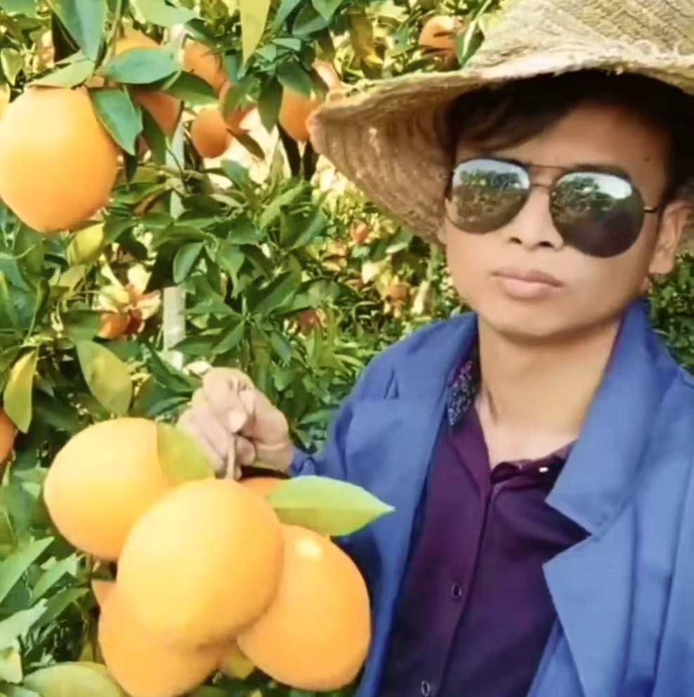 正宗赣南脐橙安远果园直发新鲜手剥甜橙