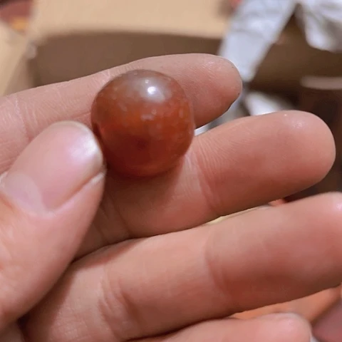 香榧木@*城Fhjgghvvhvvvvc