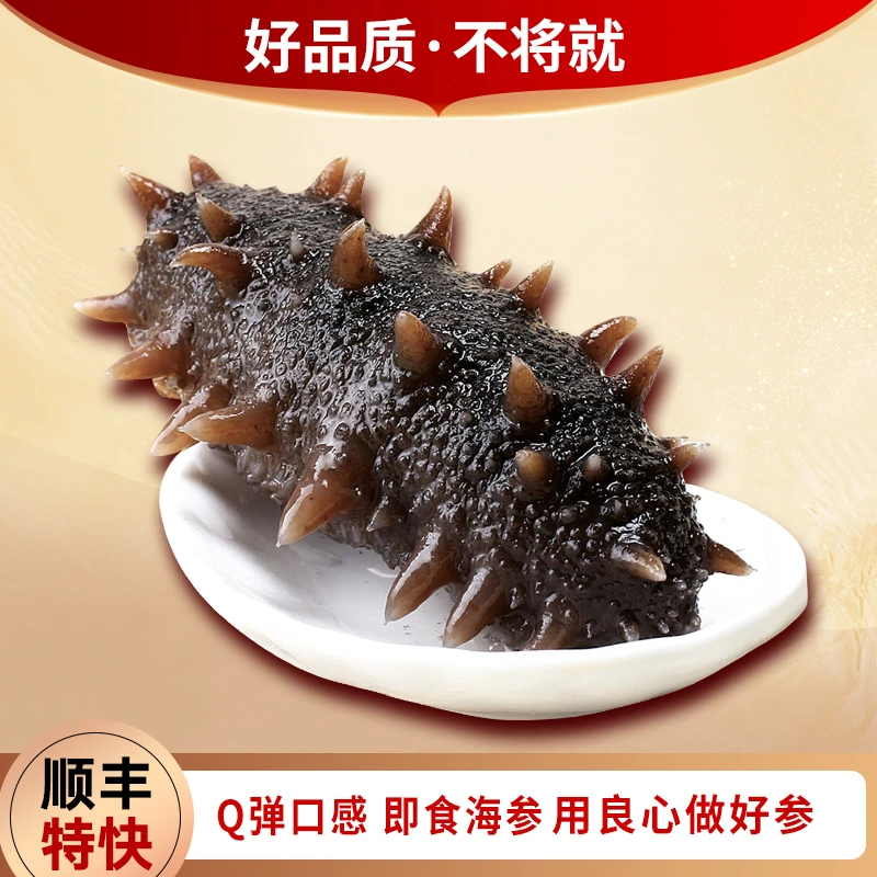 添福泽即食辽刺参1斤10头大连辽参开袋即食