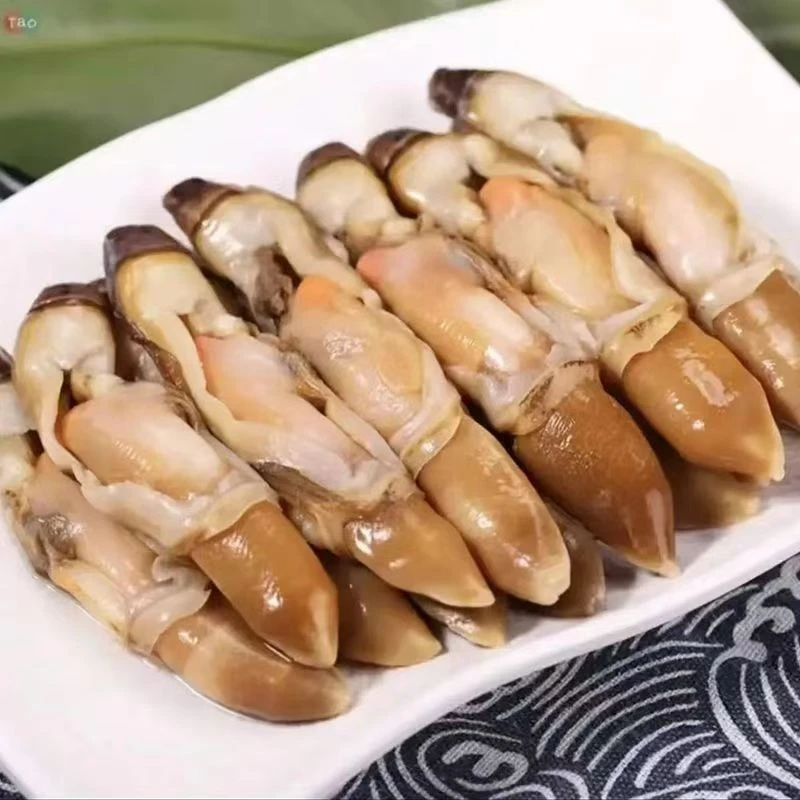 蛏王肉 速冻锁鲜 大竹节蛏肉  顺丰冷链包邮共4包含保护冰500g/包