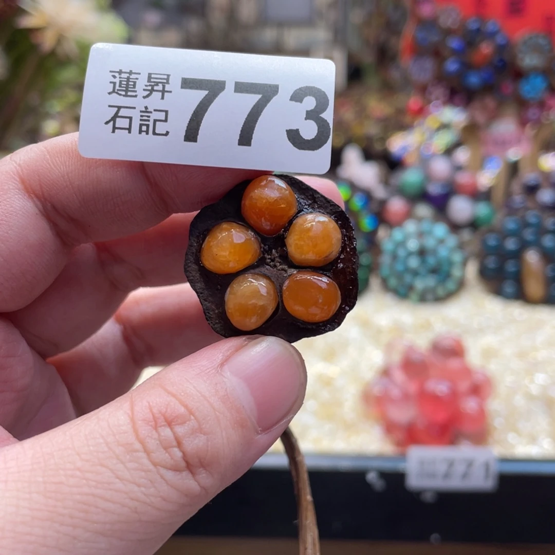 核桃木/黑胡桃（胡桃木）773原杆