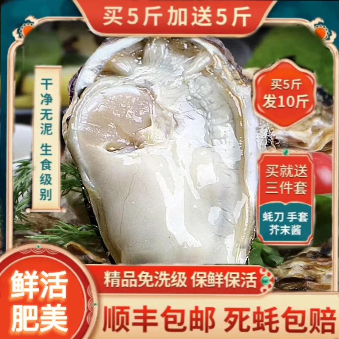 10斤精品生蚝鲜活蚝王7+/8+单只7两-1斤（顺丰包邮）