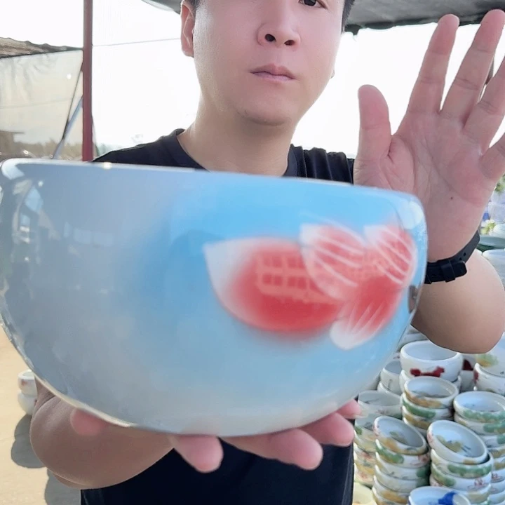 瓷片直径23厘米高度13厘米……