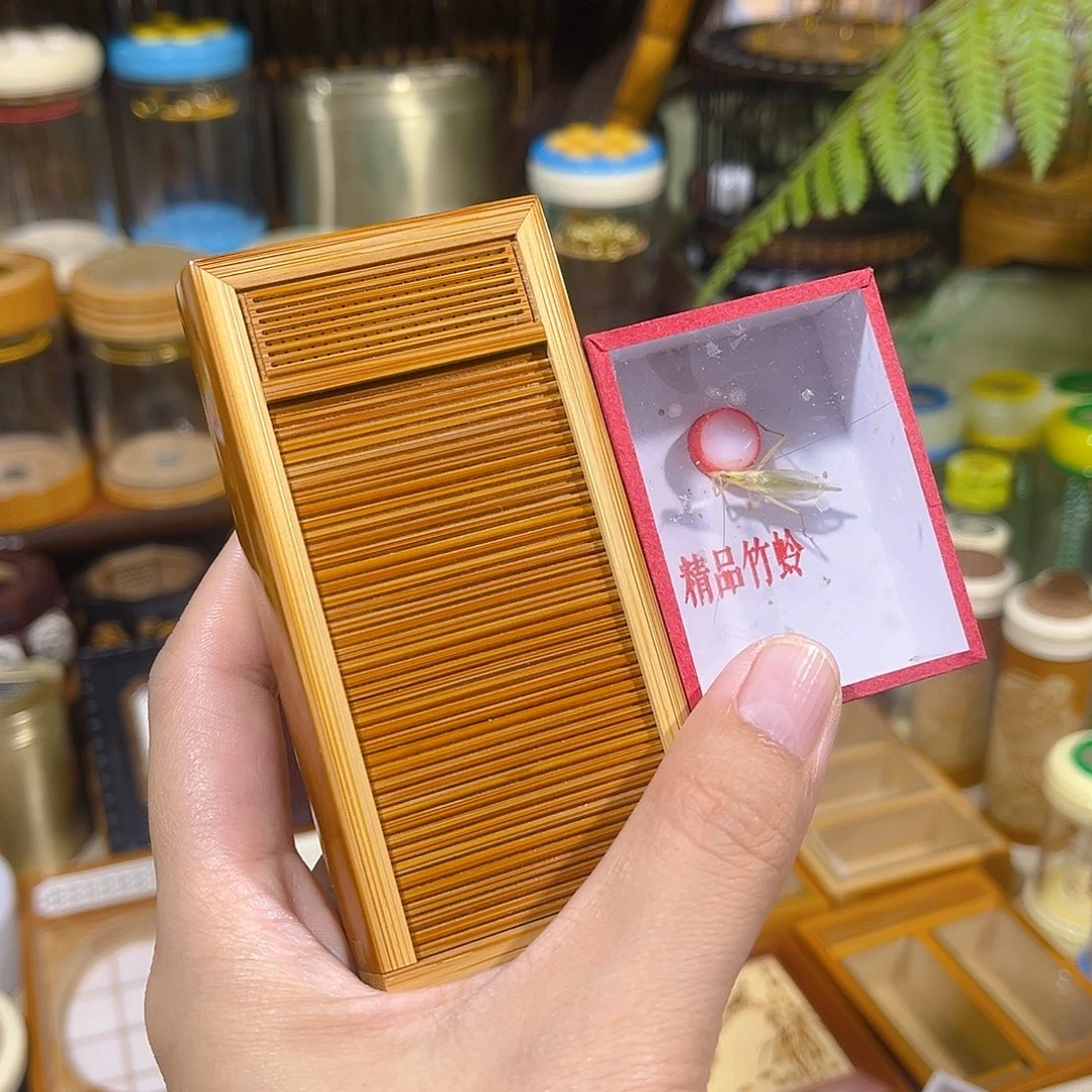 蟋蟀卷帘门竹蛉盒+竹蛉+布套