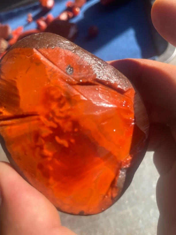 四川南红原石满肉柿子毛料红随型手把件料原石毛料