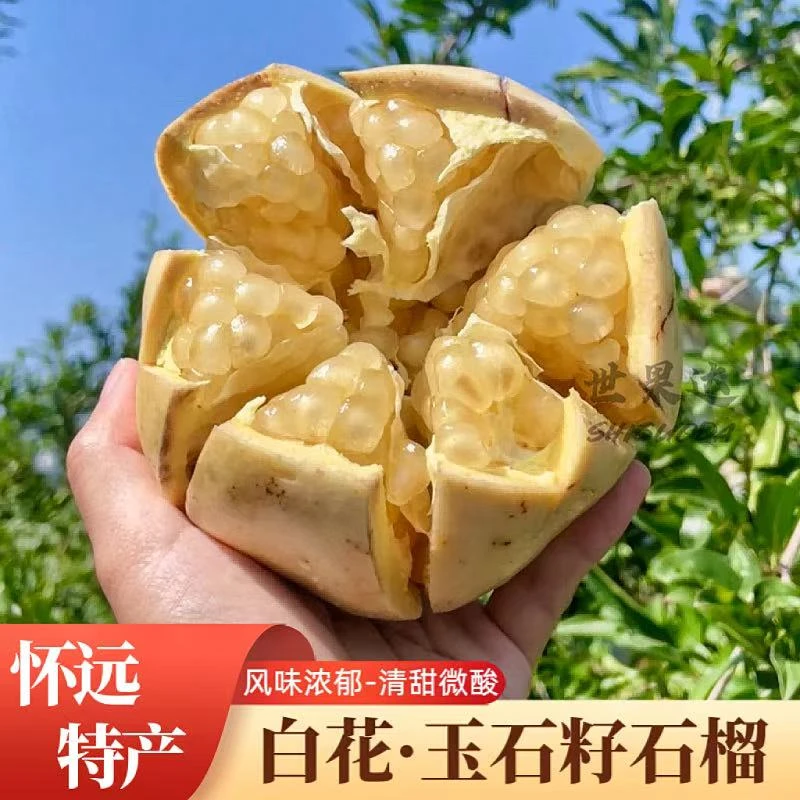 正宗安徽怀远石榴白花玉石籽白皮玛瑙硬籽石榴蚌埠特产水果整箱