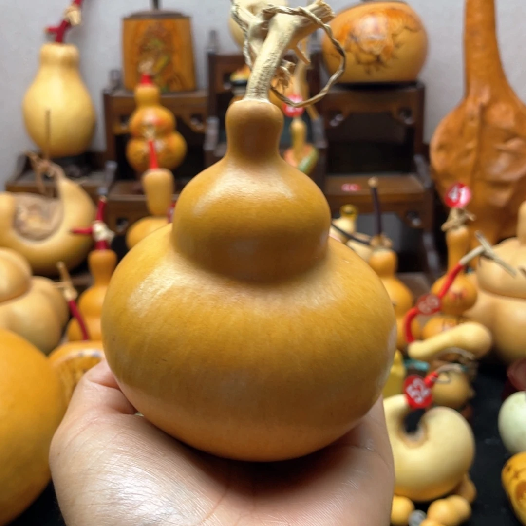 霁*大自然的秘密是什么啊