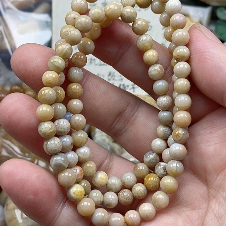 硅化珊瑚（珊瑚玉）未镶嵌颈饰