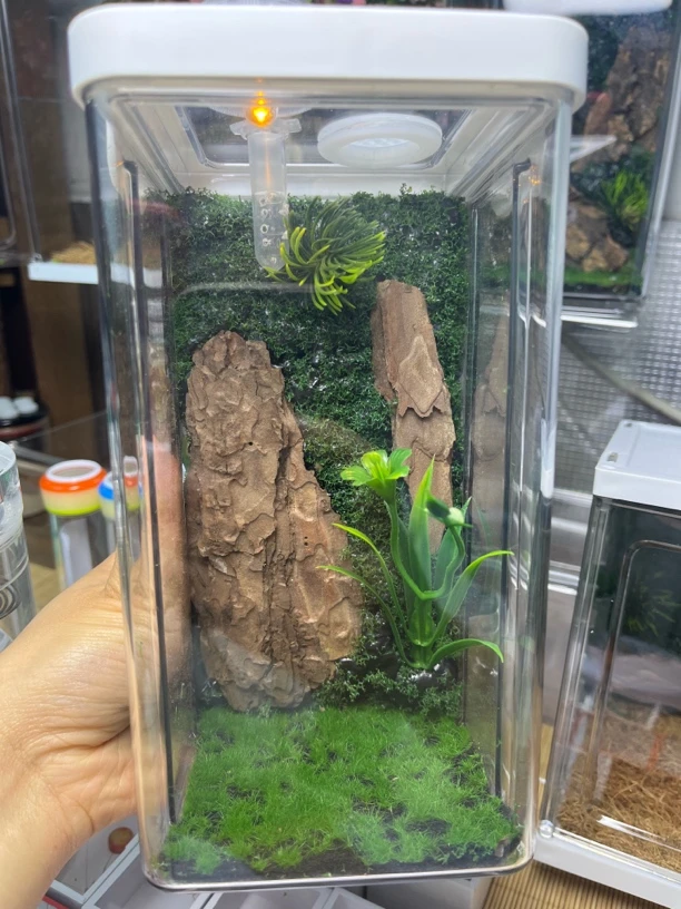 生态箱人造景仿真带3小虫尺寸10X20