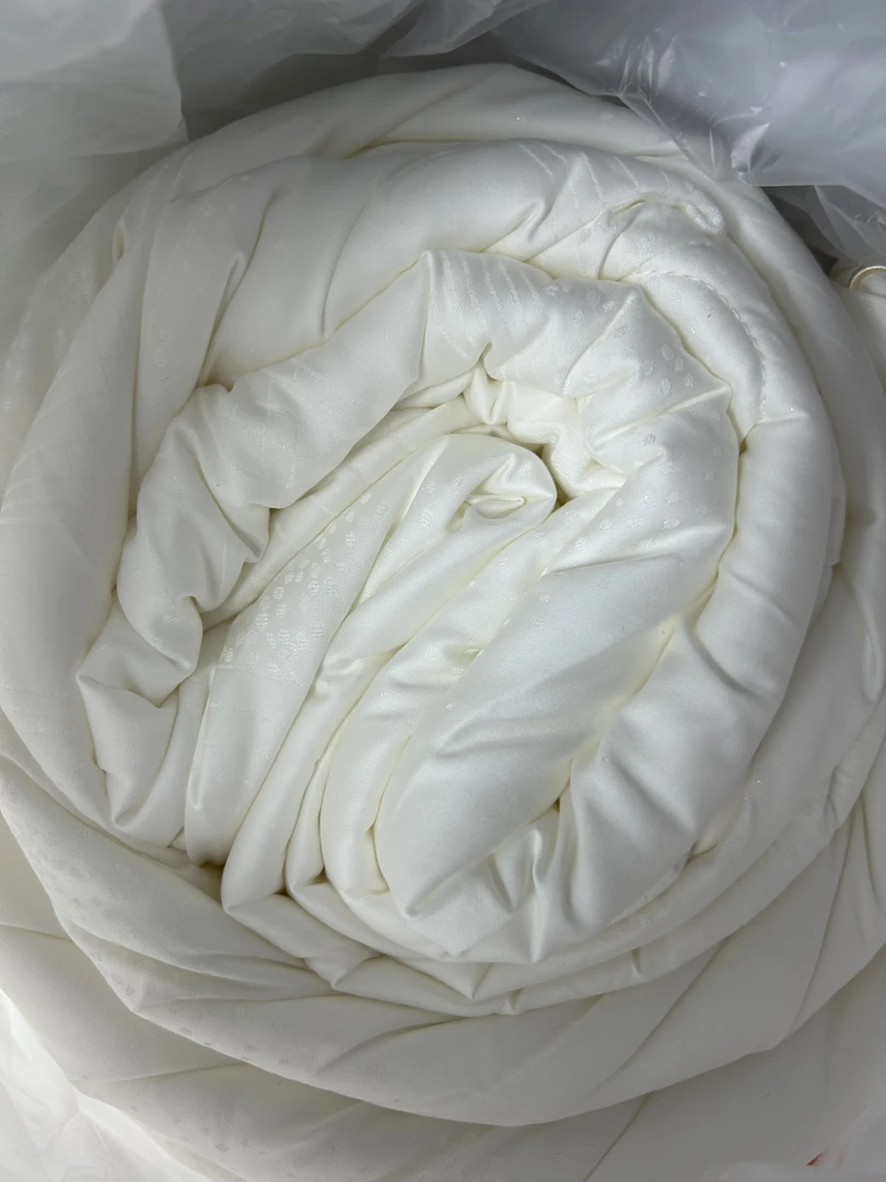 美点家居 天丝棉冬被春秋被亲肤色织大提花冬被