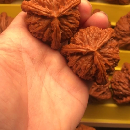 核桃核桃核桃核桃