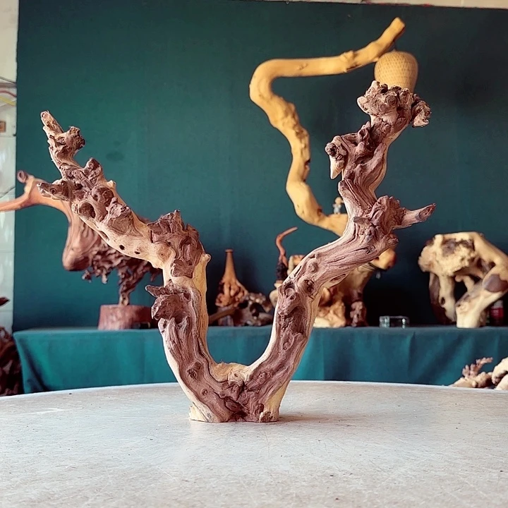 黑果木天*913 金丝红木羊蹄甲半成品经典款特价有裂痕