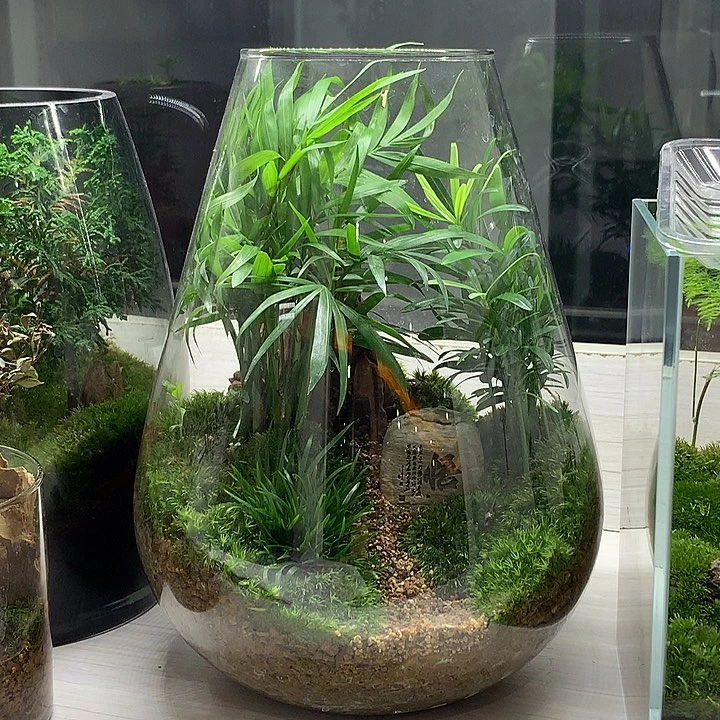 无花朵一物一拍微景观