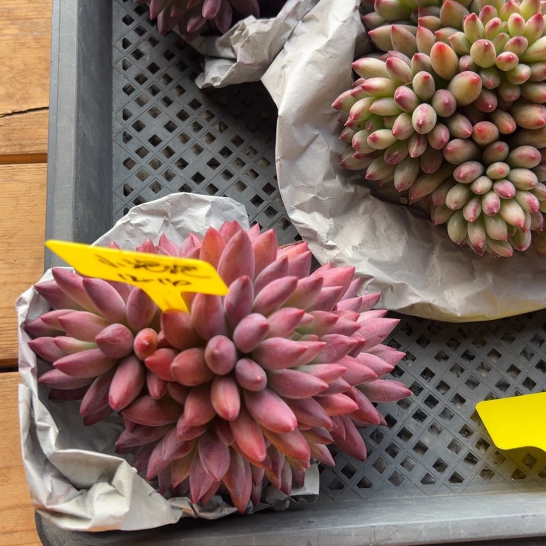 1214111111111111111111111