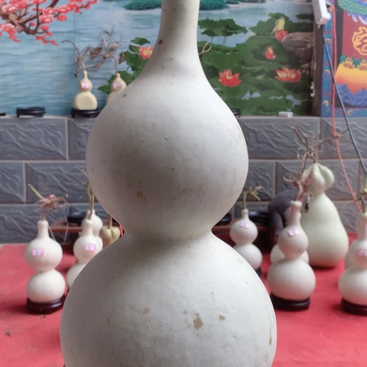 ****单中号尺寸及尺寸大小