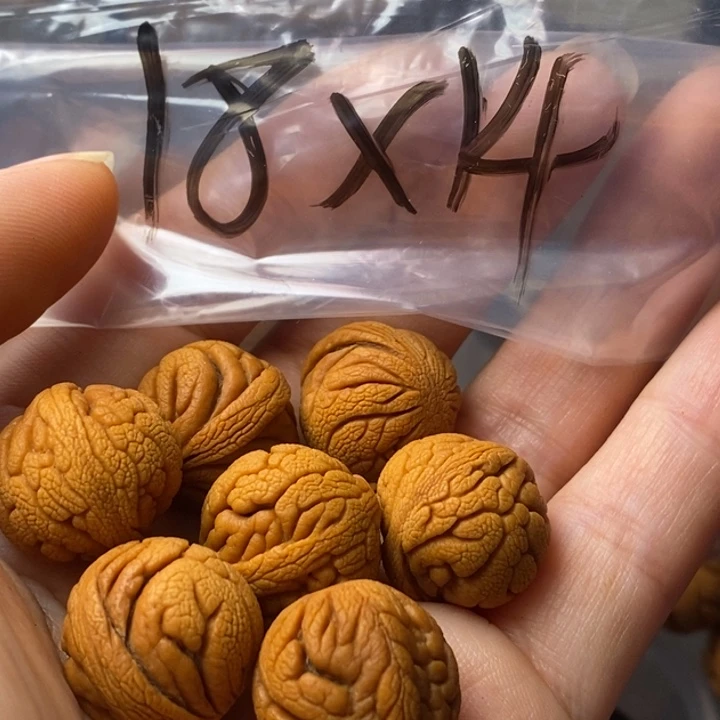 手串文玩核桃秦岭野生龙纹桃核18