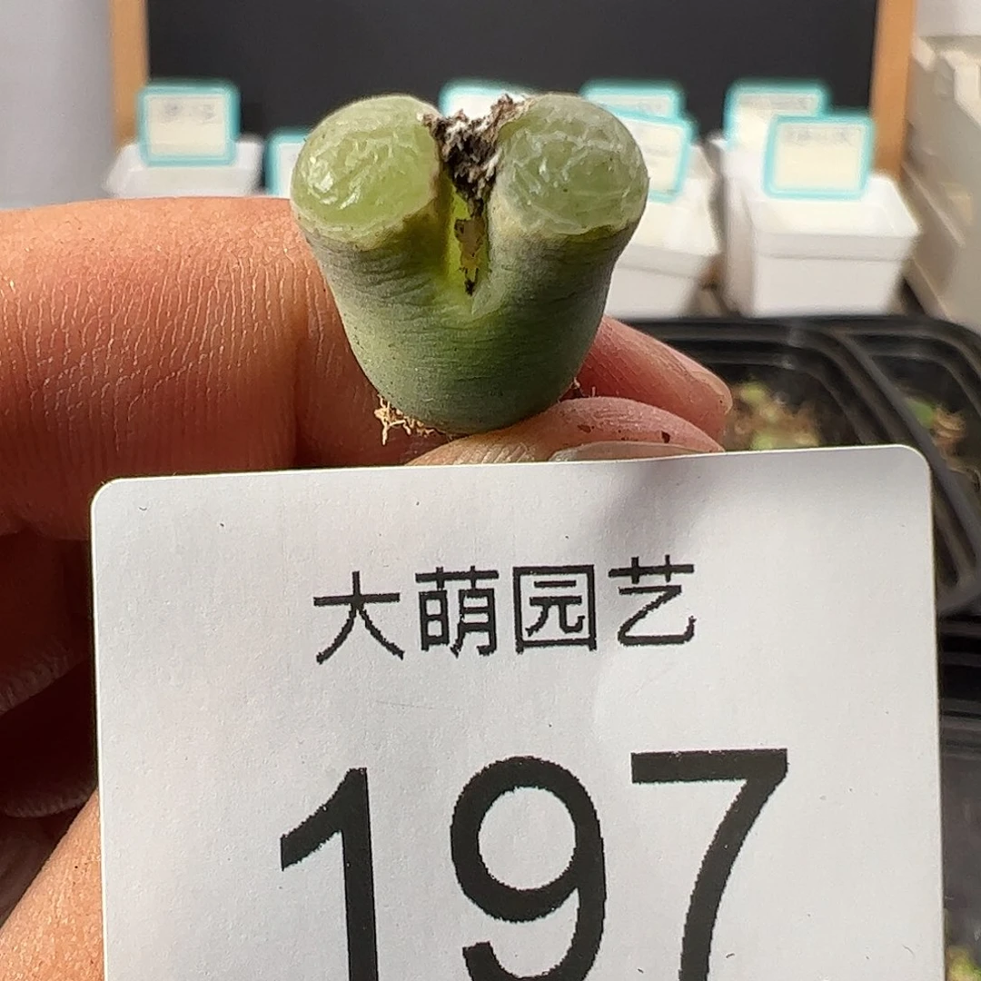 0000197 一物一拍……