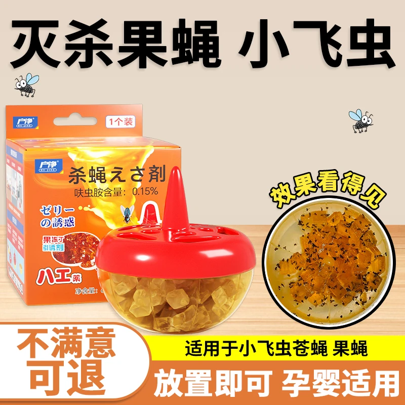 杀虫饵剂室内小飞虫驱除神器灭果蝇诱捕器蝇捕捉器杀虫剂家用正品
