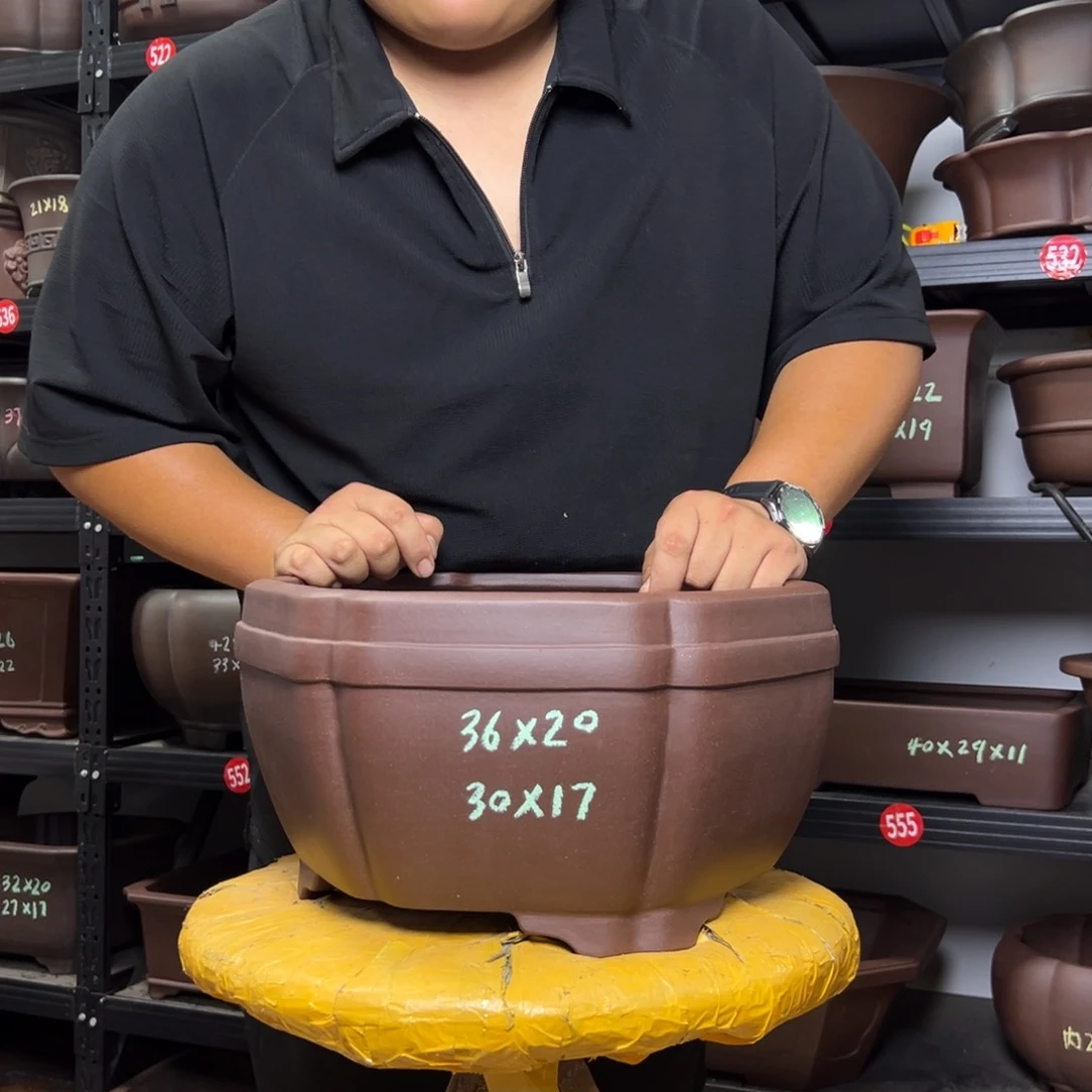 紫砂其他呜呜呜呜呜我