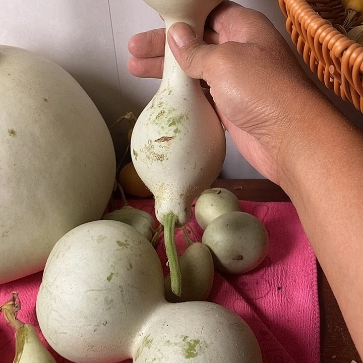 女***到青皮腰子葫芦手把件