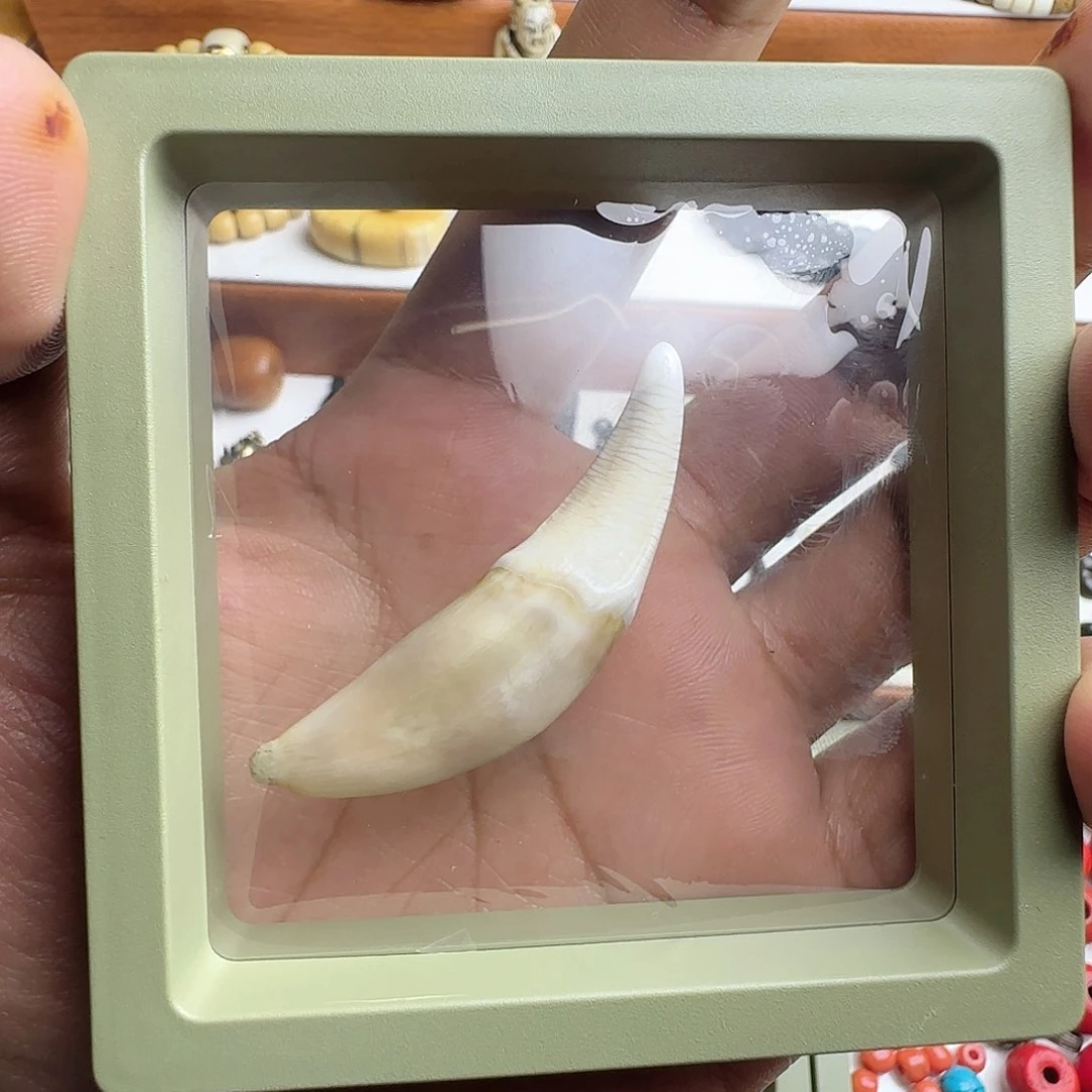 【闪购商品】手串/手链橄榄核X*扎西德勒