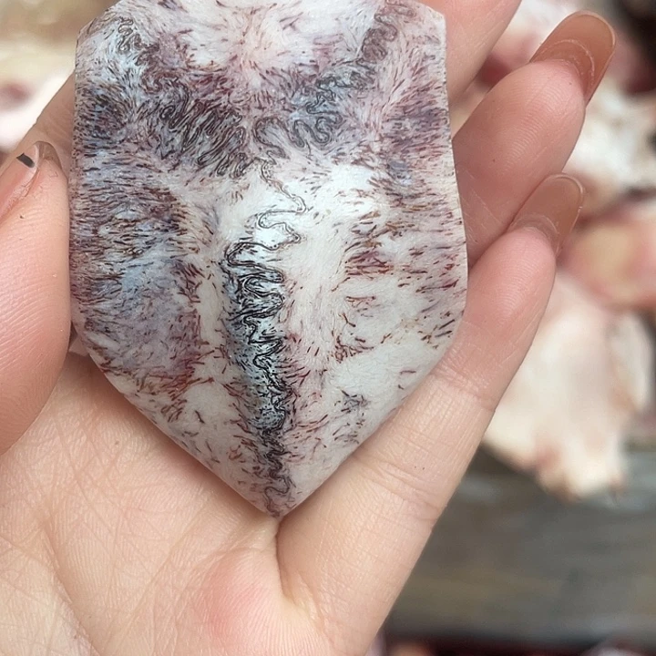 养殖鹿骨三界牌子