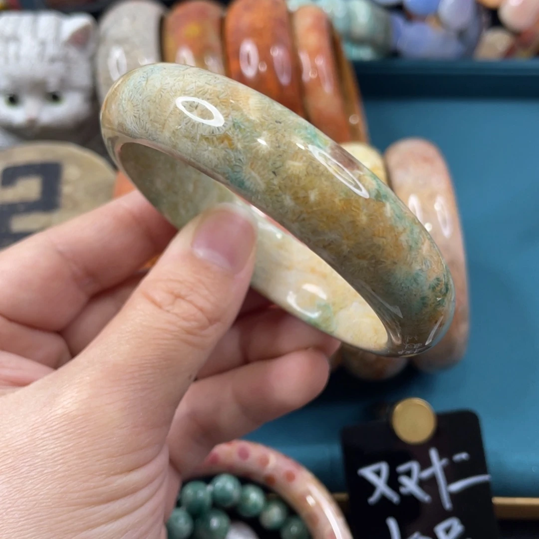 未镶嵌手镯硅化玉