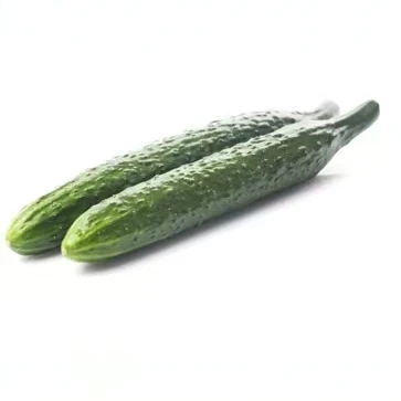 【东胜同城】新鲜水黄瓜480g~500g黄瓜同城送黄瓜同城配
