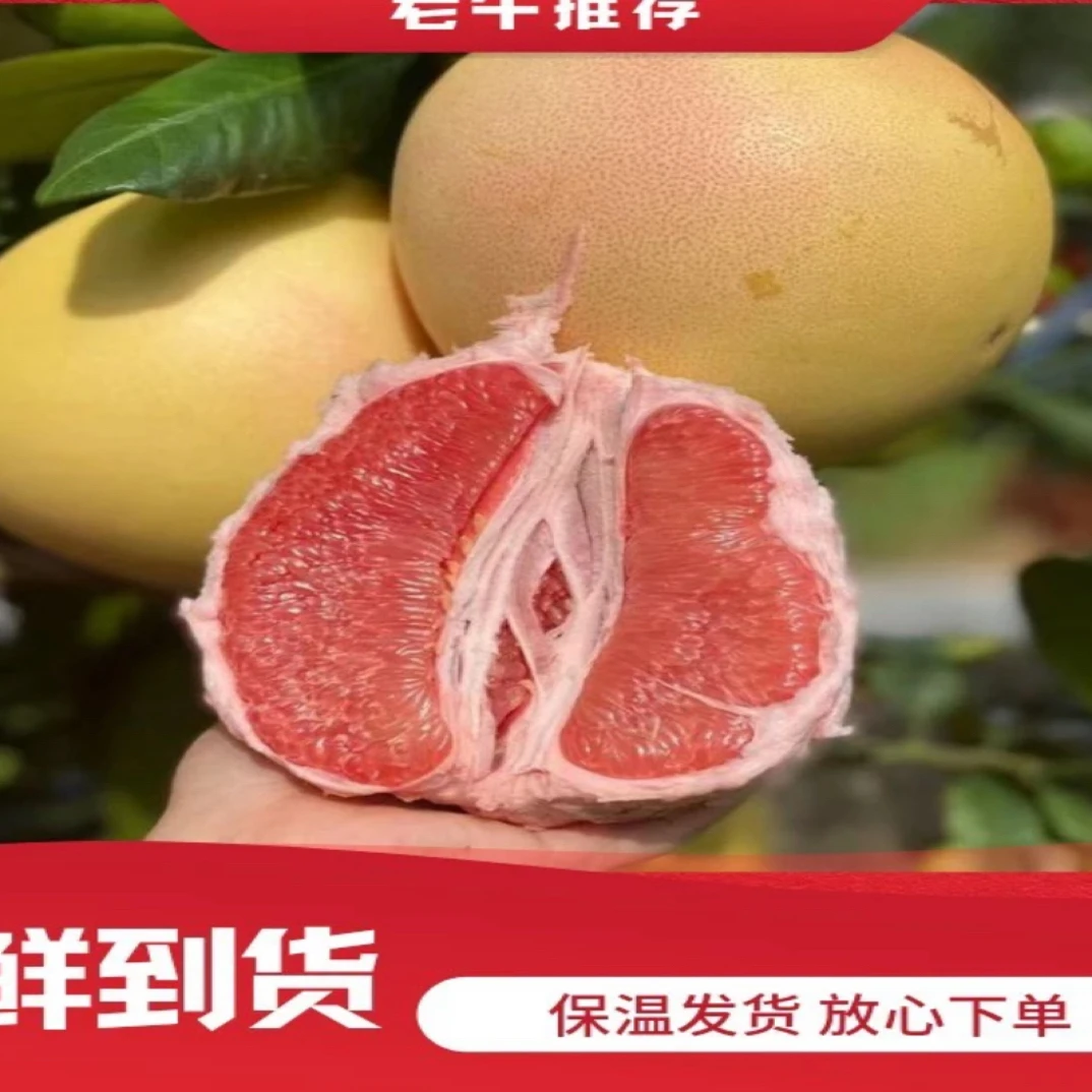 老牛优选 阿兰阿南 福建三红柚 1件2颗 4-4.5斤 快递包邮