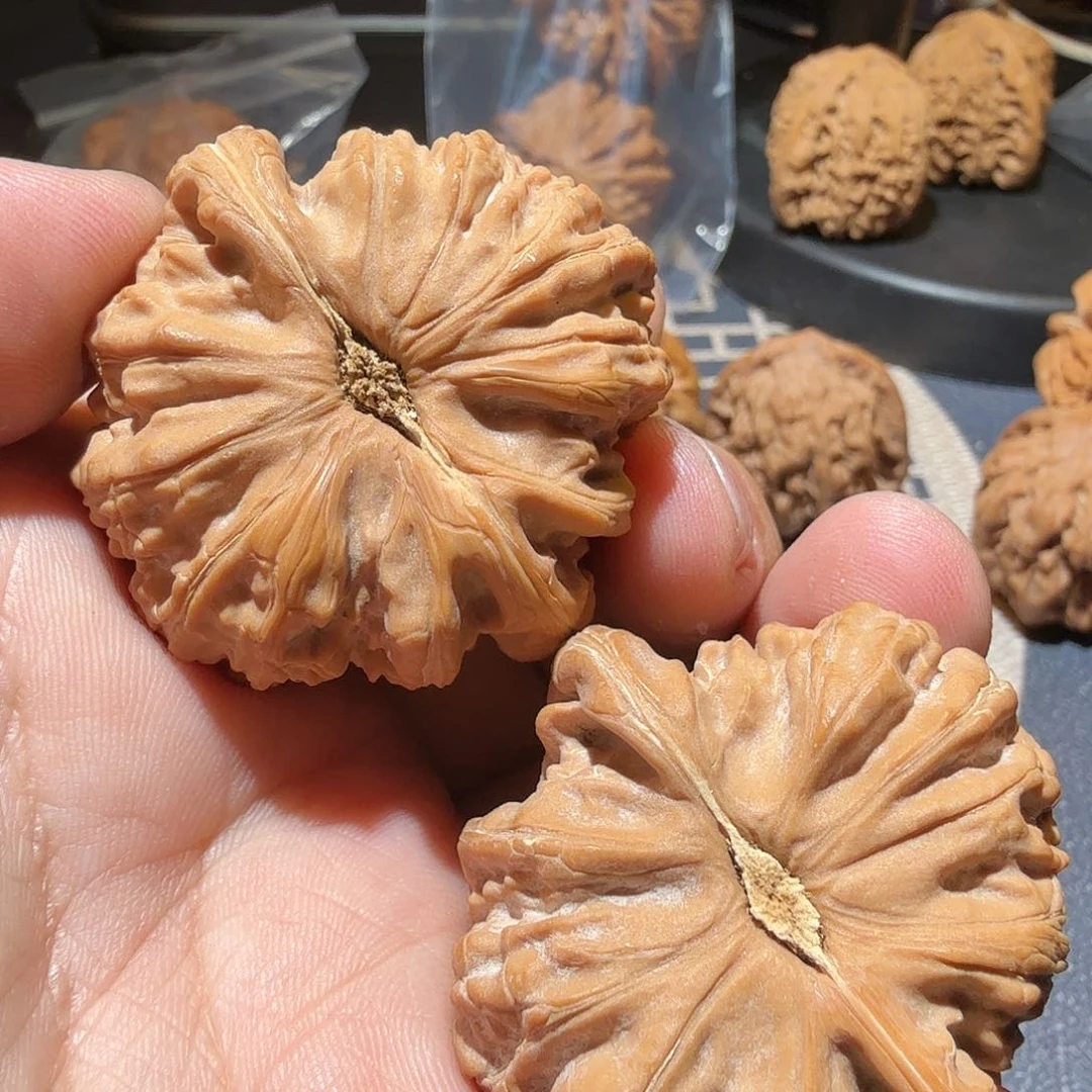 文玩核桃把件白狮子