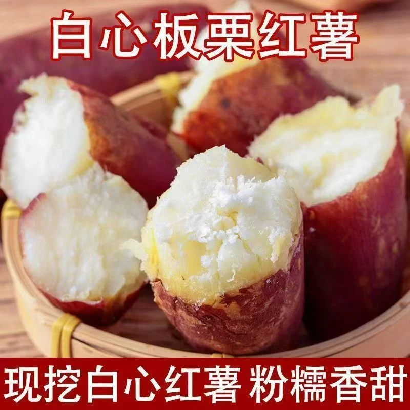 【新人支持试吃2斤】正宗白心板栗薯沙地现挖老品种番薯红皮XH