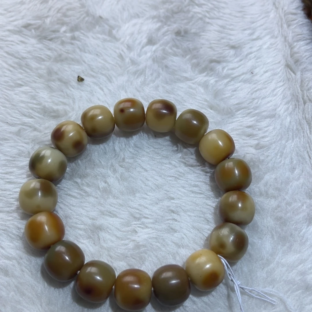 吊坠菩提根/象牙果小油画大瑕