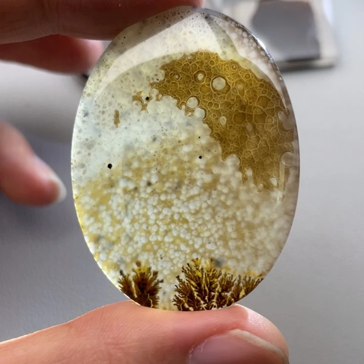 玛瑙/玉髓颈饰未镶嵌大*鹅