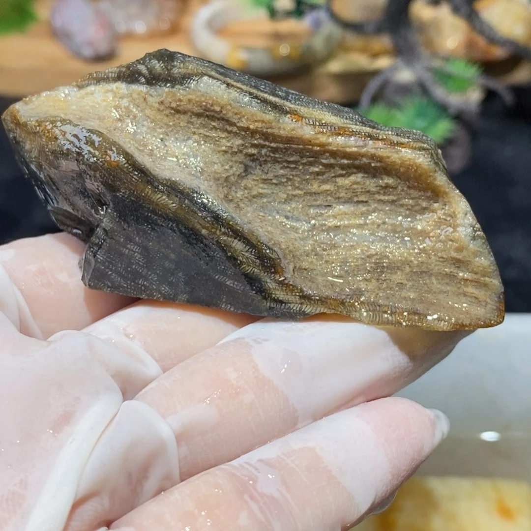 【闪购商品】硅化玉颈饰未镶嵌
