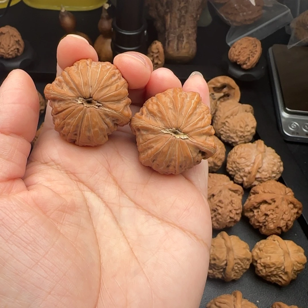 37尺全品无修铁锤