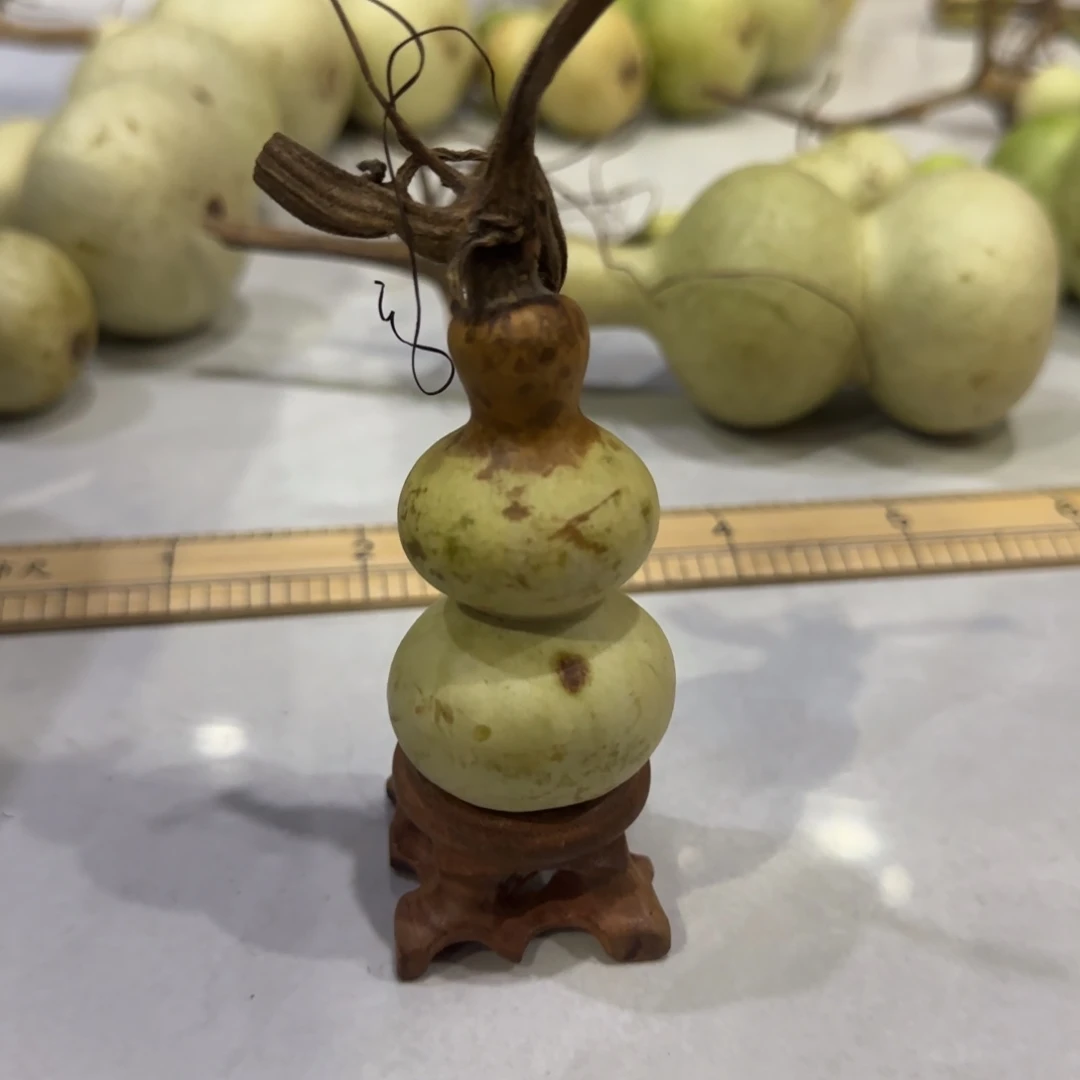 青皮不包成青皮不包成