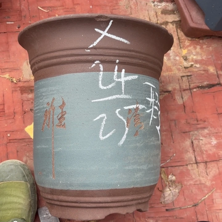 紫砂花盆紫砂的花
