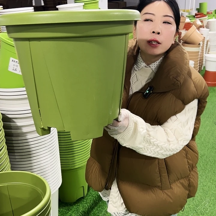 清仓青山口40高34果绿3只无托