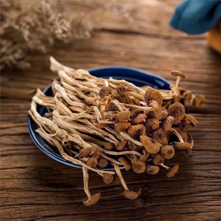 正宗古田茶树菇干货无熏硫不开伞脆嫩鲜香孩子爱吃