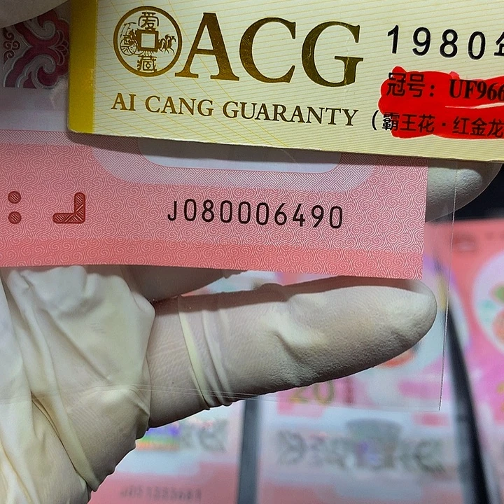 一张一张一张一张