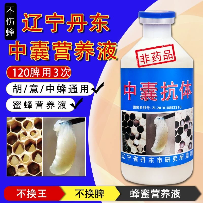 中囊抗体蜜蜂幼虫康灵养蜂专用辽宁丹东正品营养液