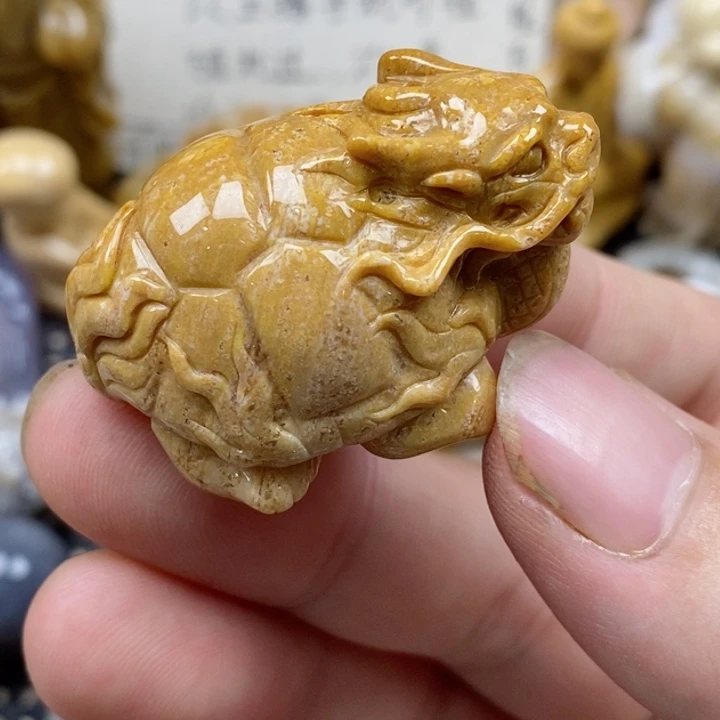 颈饰未镶嵌硅化珊瑚（珊瑚玉）