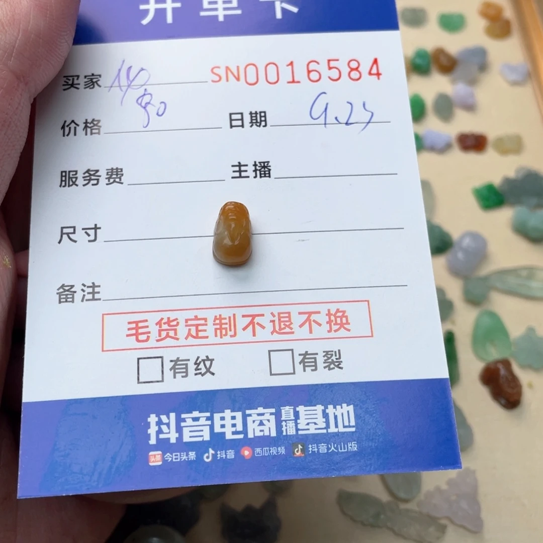 未镶嵌挂件翡翠化****链