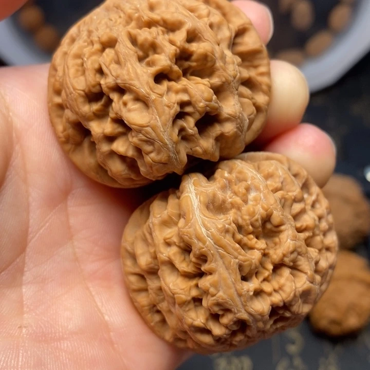 文玩核桃麻核桃大粗筋