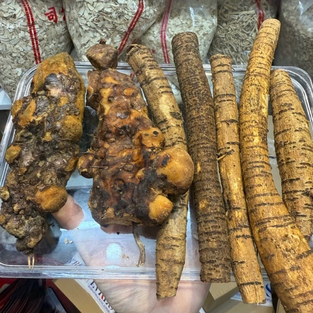 ［土茯苓牛大力］煮水喝煲汤
