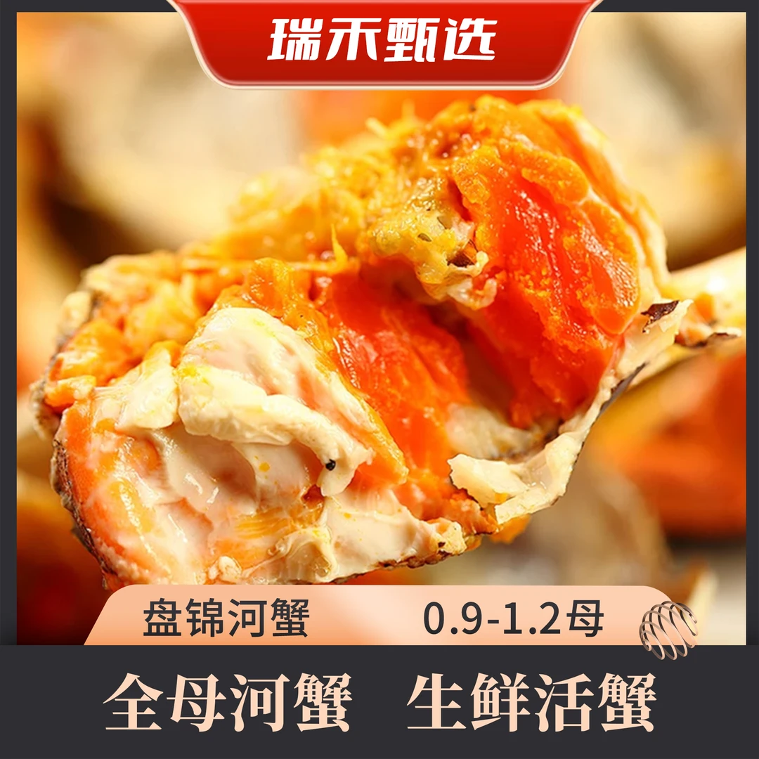 盘锦河蟹 全母河蟹 生鲜活蟹 单只1-1.3两到手2斤