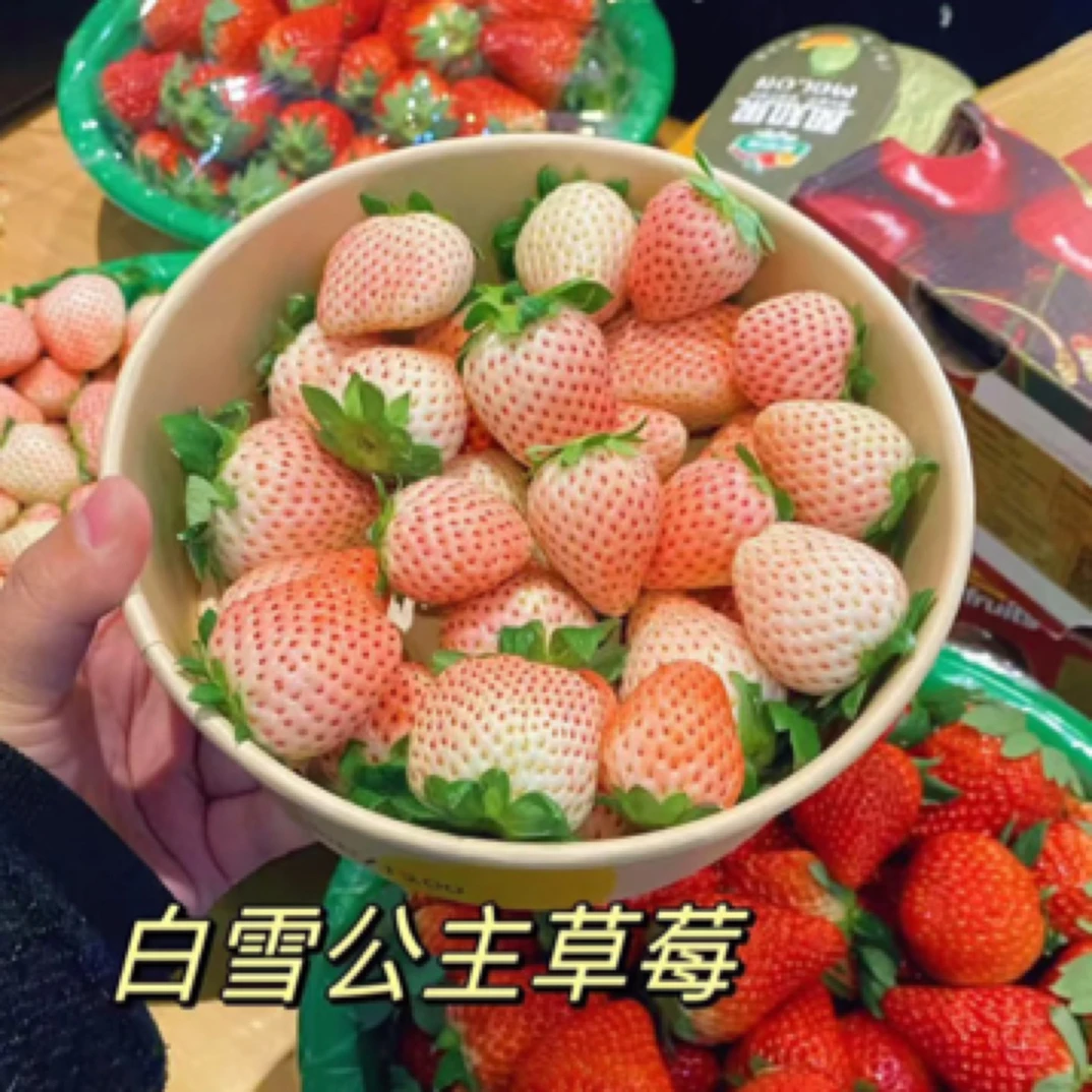 现洗白雪公主草莓*盒