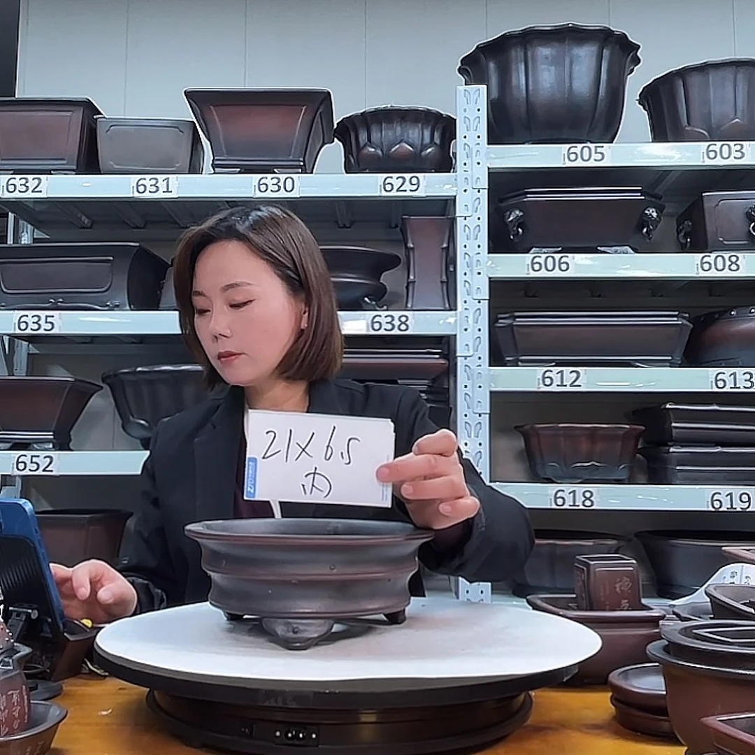 赵***B花盆紫砂宜兴紫砂34号