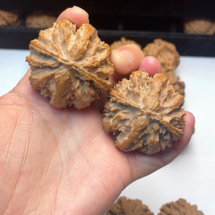 文玩核桃把件文玩城的小伙伴们都