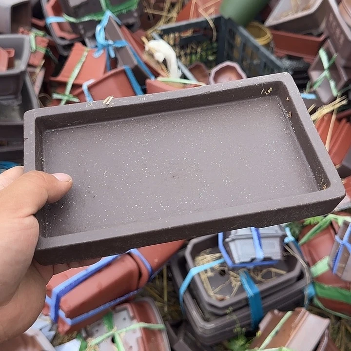 我会想的呀想得不行就